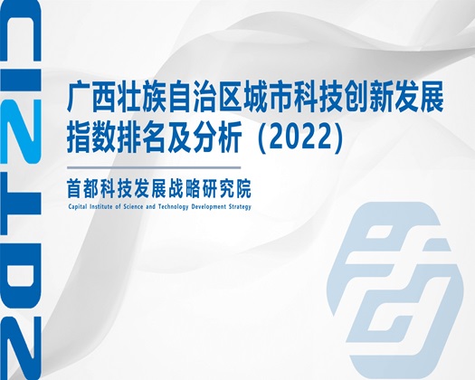 后入肥婆B【成果发布】广西壮族自治区城市科技创新发展指数排名及分析（2022）